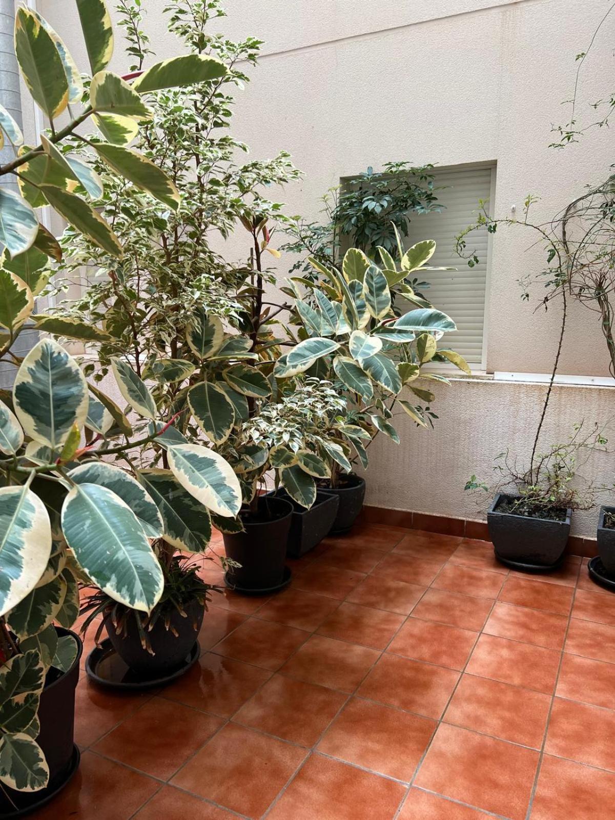 Apartament Pura Vida Águilas Zewnętrze zdjęcie